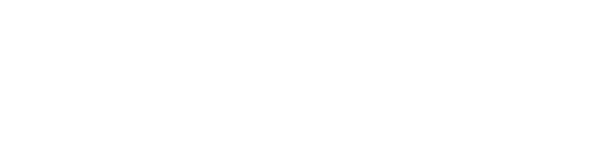 Dunamis Property Logo