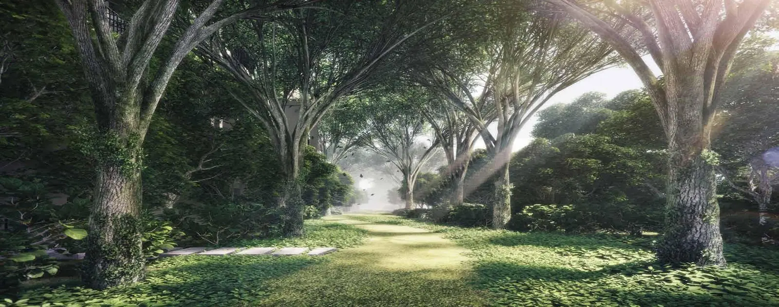 Park Colonial Colonial Boulevard tree-canopied walkway showcasing the lush established greenery of Bidadari estate Woodleigh Singapore.